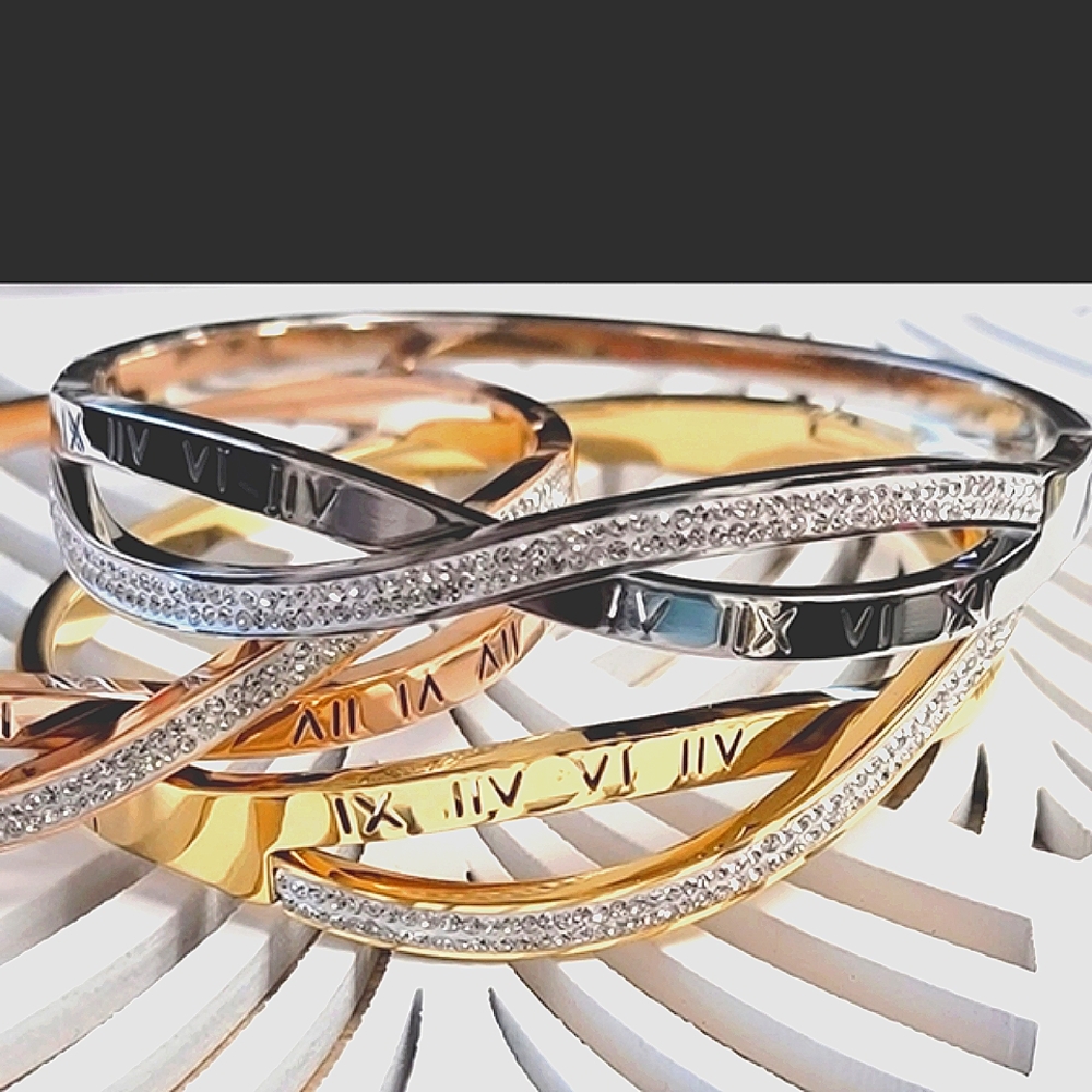 NWT 2x$50 stainsteel bracelets